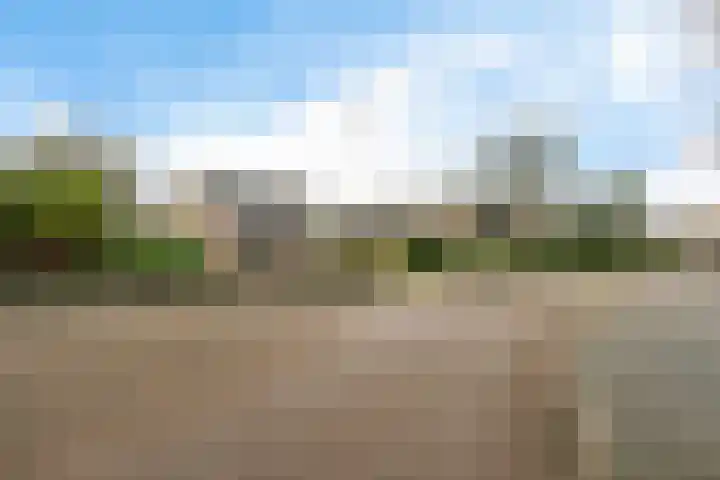 Dorpstraat 31 Macharen thumbnail 50