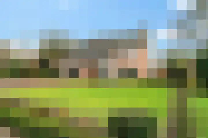 Dorpstraat 31 Macharen thumbnail 6