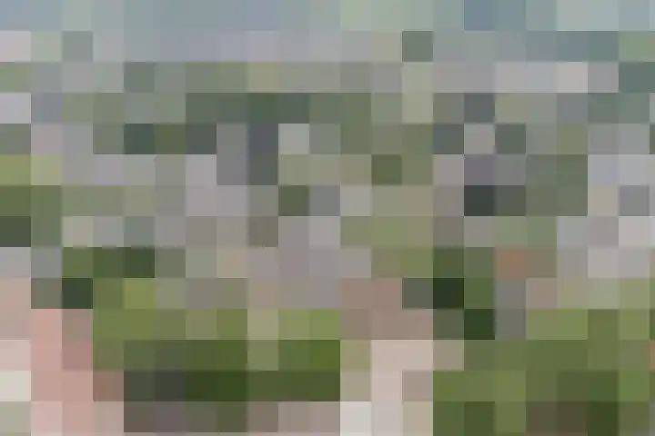 Dorpstraat 32 G Heumen thumbnail 20
