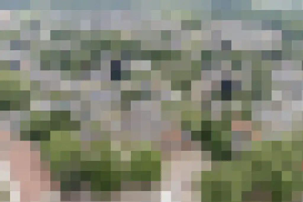 Dorpstraat 32 G Heumen thumbnail 20