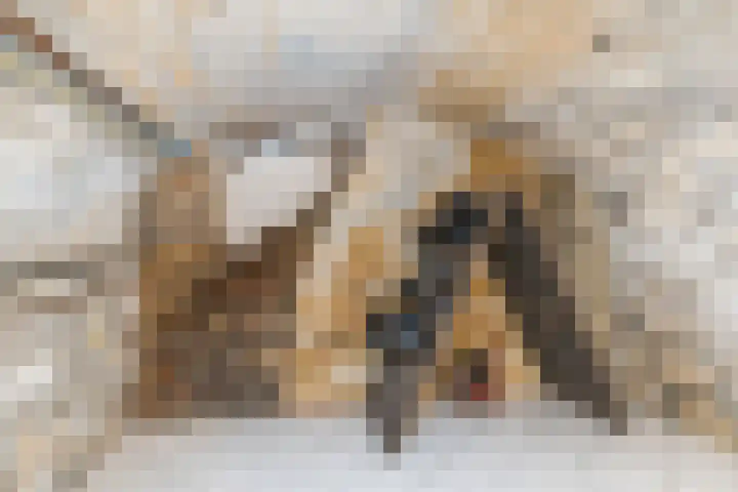 Dorpstraat 33 Ulestraten thumbnail 26