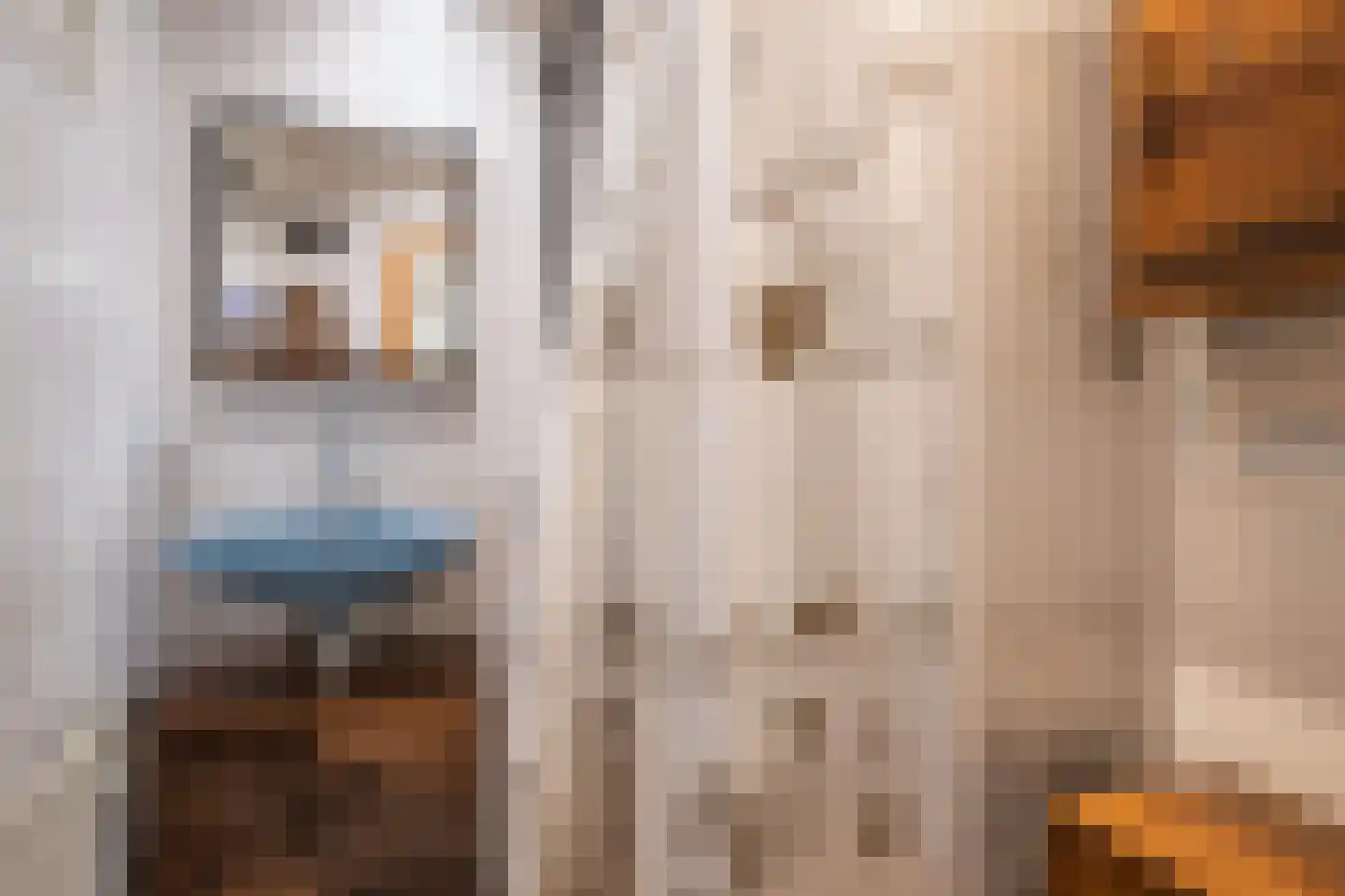 Dorpstraat 35 Buchten thumbnail 13