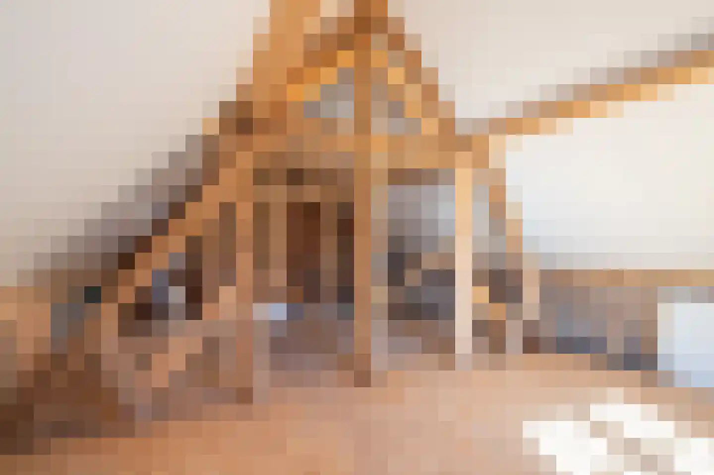 Dorpstraat 35 Buchten thumbnail 19