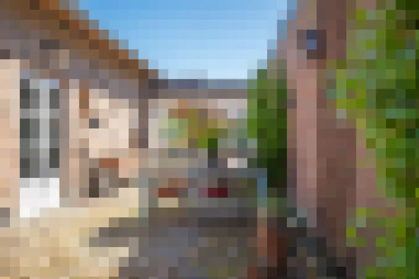 Dorpstraat 35 Buchten thumbnail 20