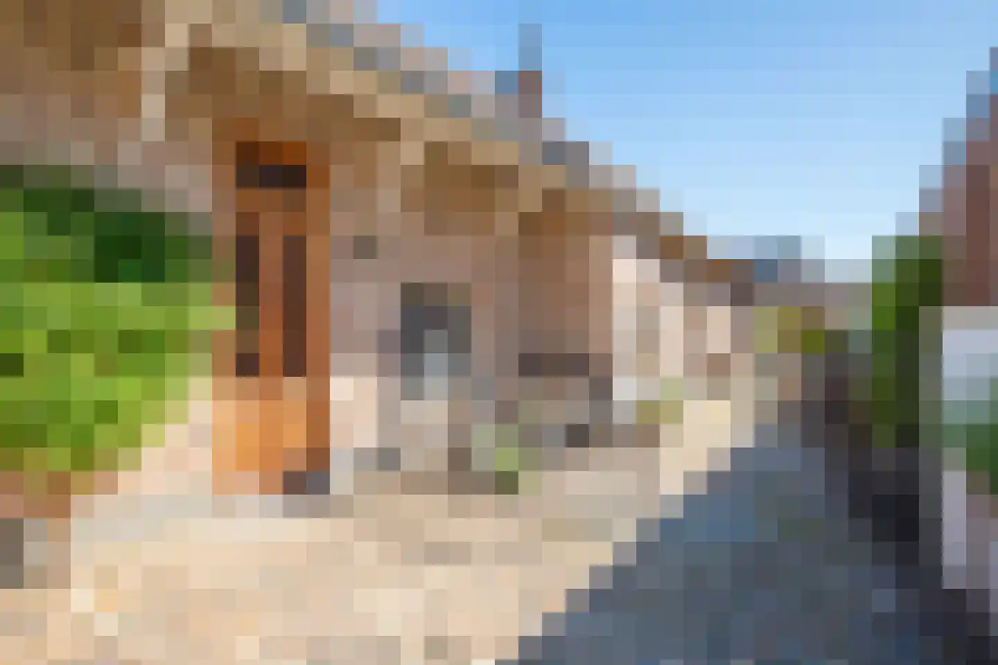 Dorpstraat 35 Buchten thumbnail 4