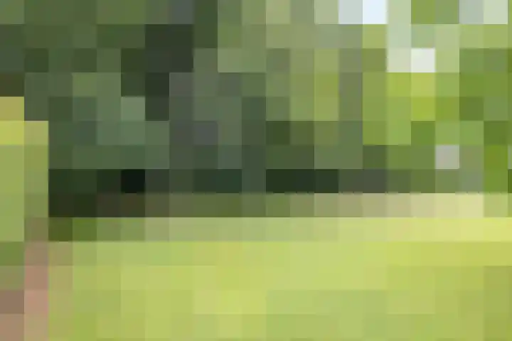 Dorpstraat 35 Noorbeek thumbnail 39