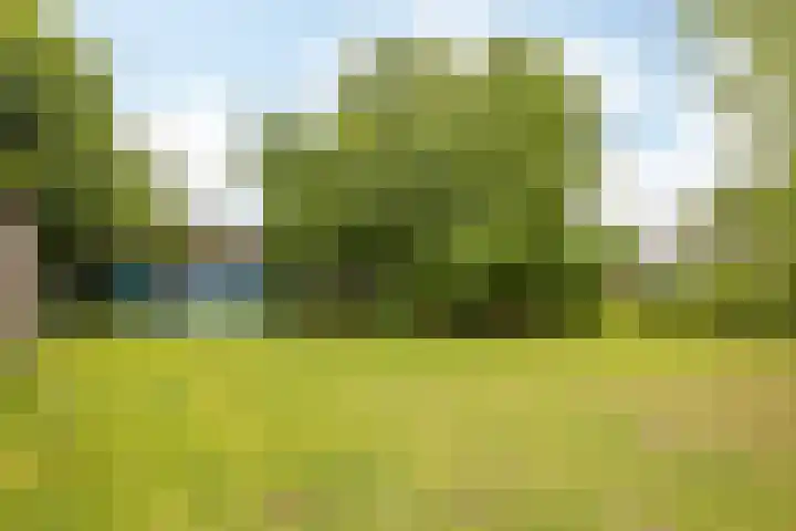 Dorpstraat 35 Noorbeek thumbnail 41