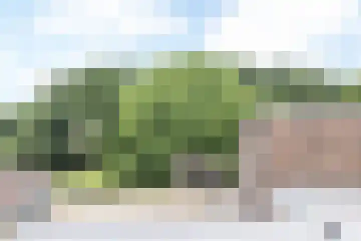 Dorpstraat 35 Noorbeek thumbnail 43