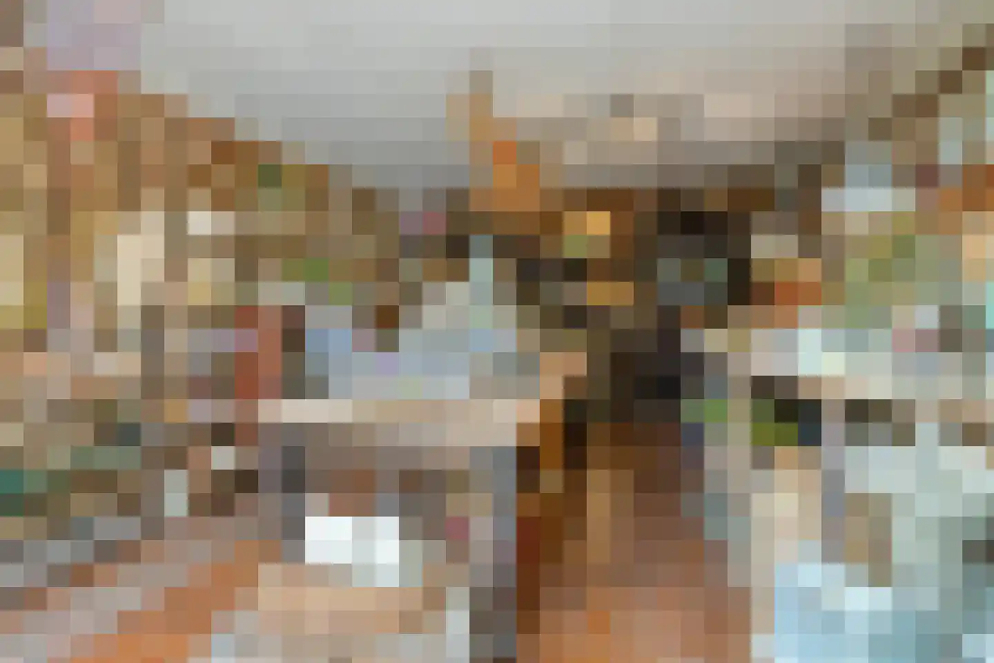 Dorpstraat 35 Oirsbeek thumbnail 29