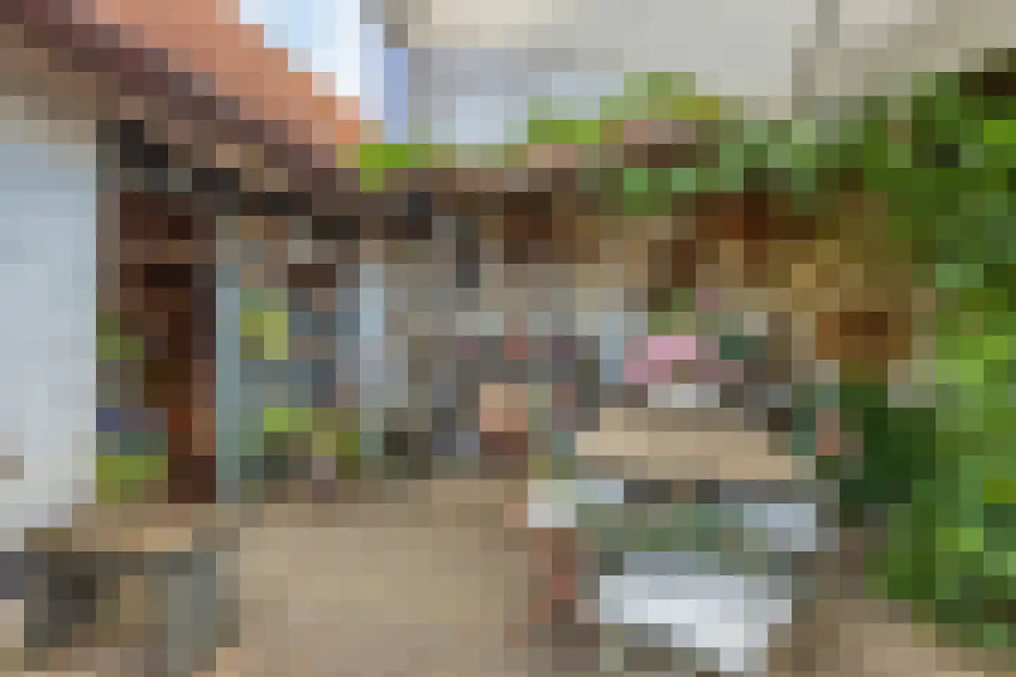 Dorpstraat 35 Oirsbeek thumbnail 44