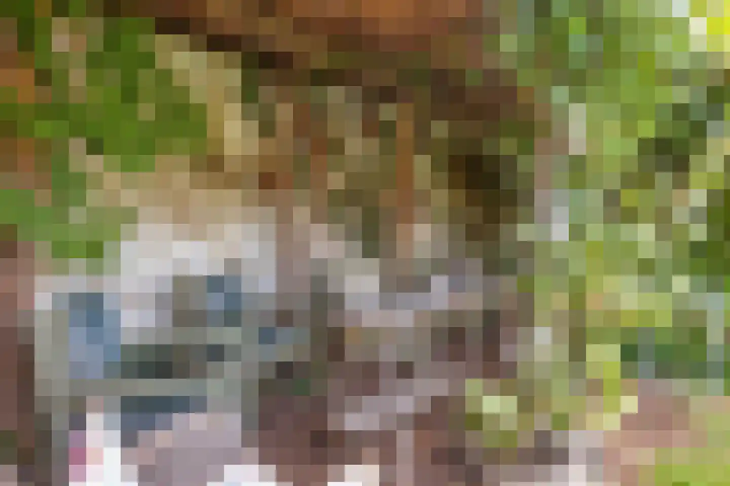 Dorpstraat 35 Oirsbeek thumbnail 45