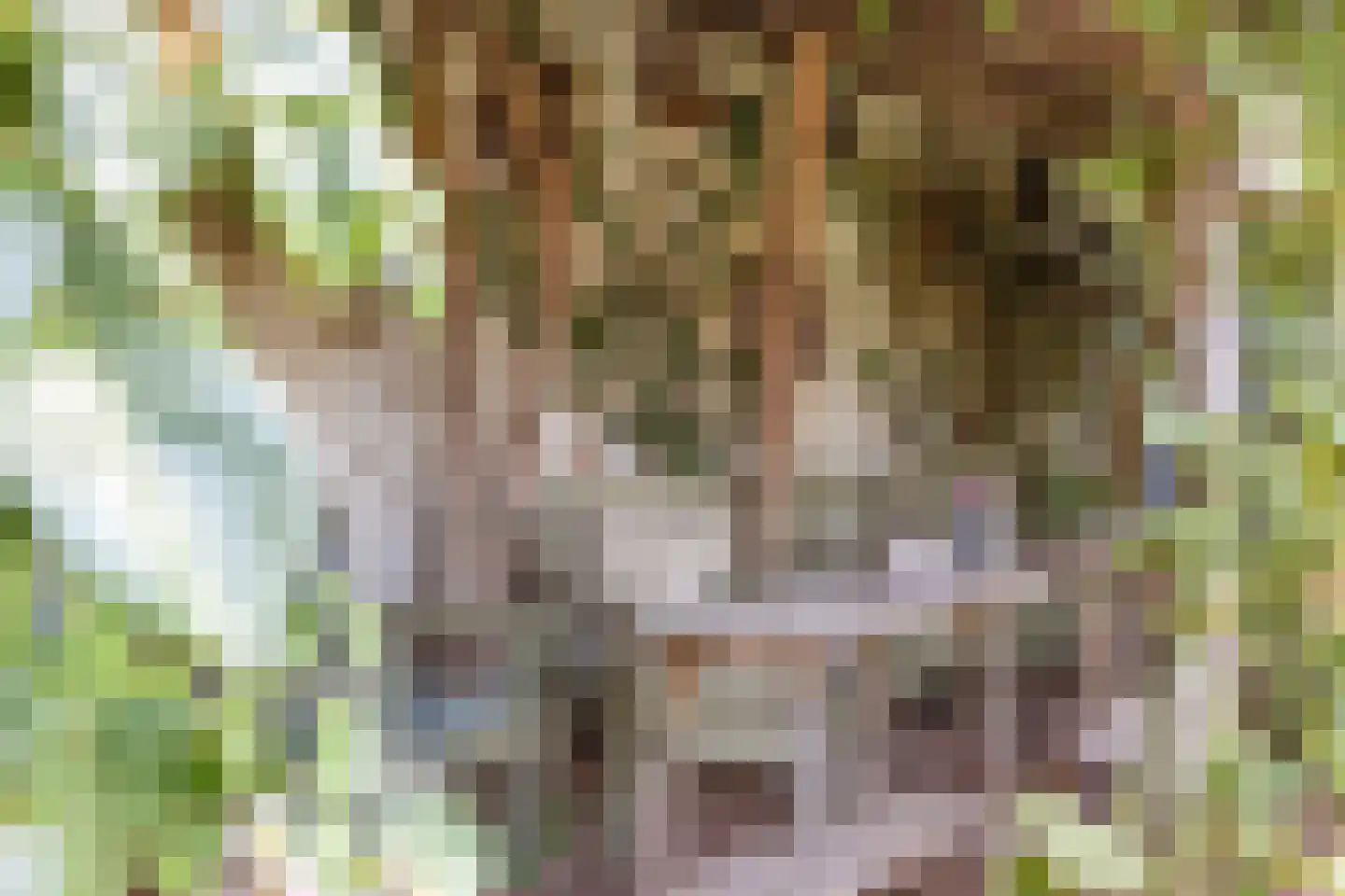 Dorpstraat 35 Oirsbeek thumbnail 46