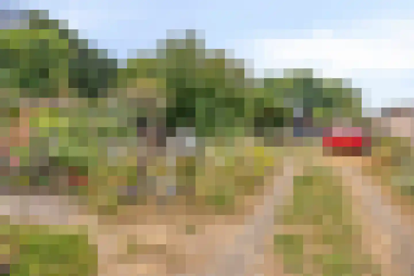 Dorpstraat 35 Oirsbeek thumbnail 47