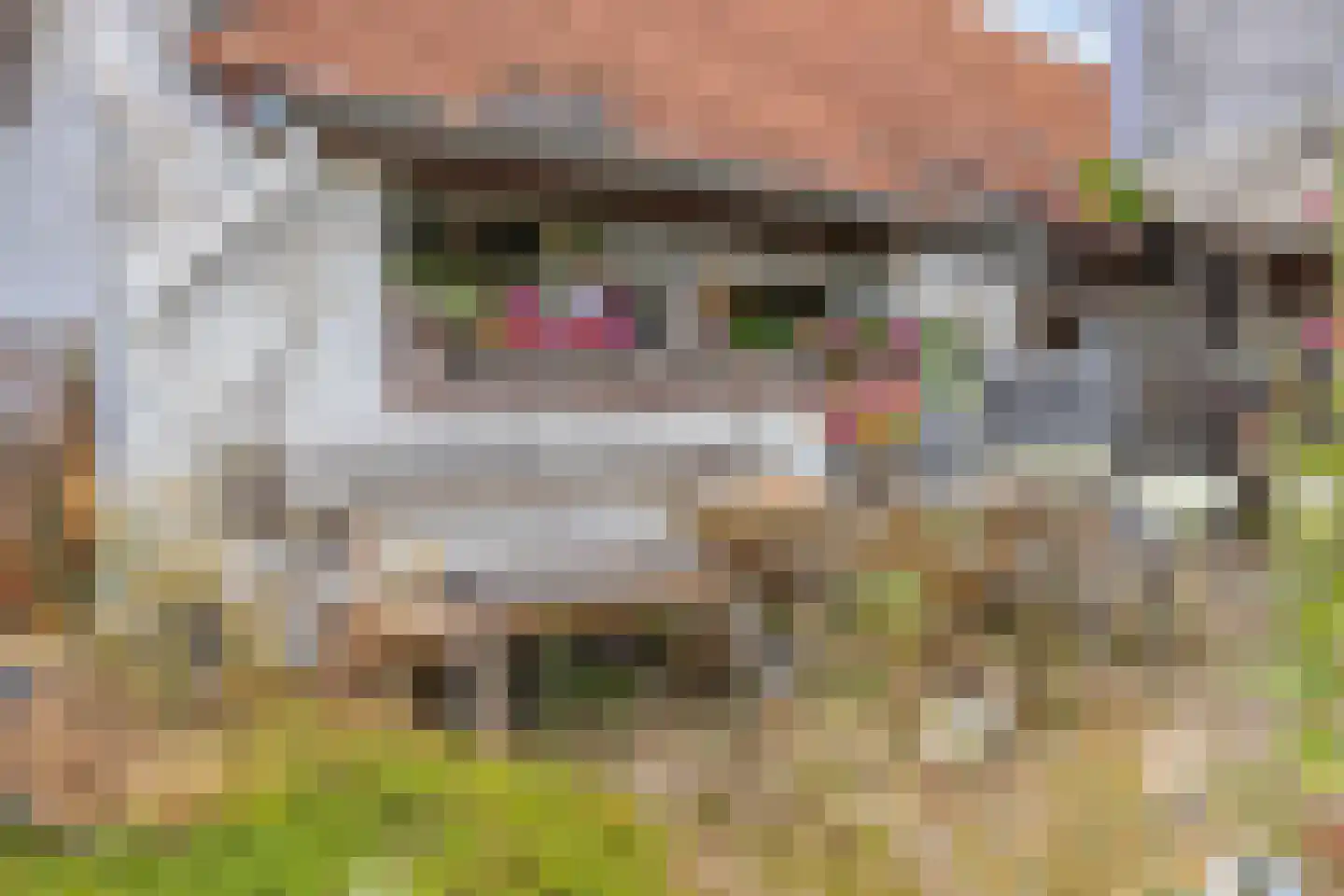 Dorpstraat 35 Oirsbeek thumbnail 49
