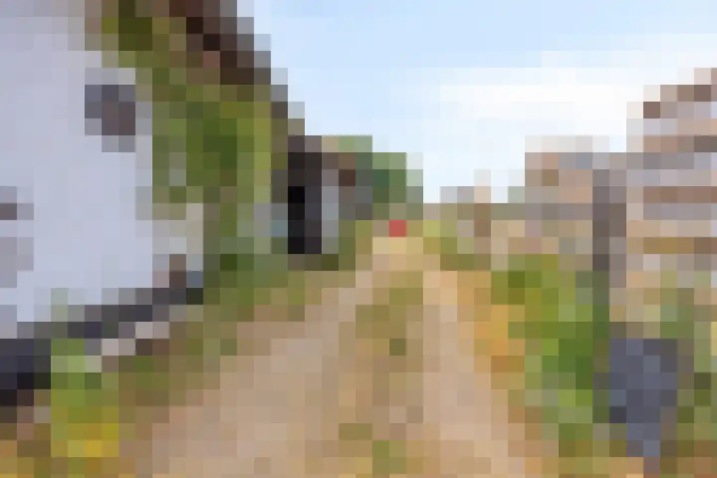 Dorpstraat 35 Oirsbeek thumbnail 5