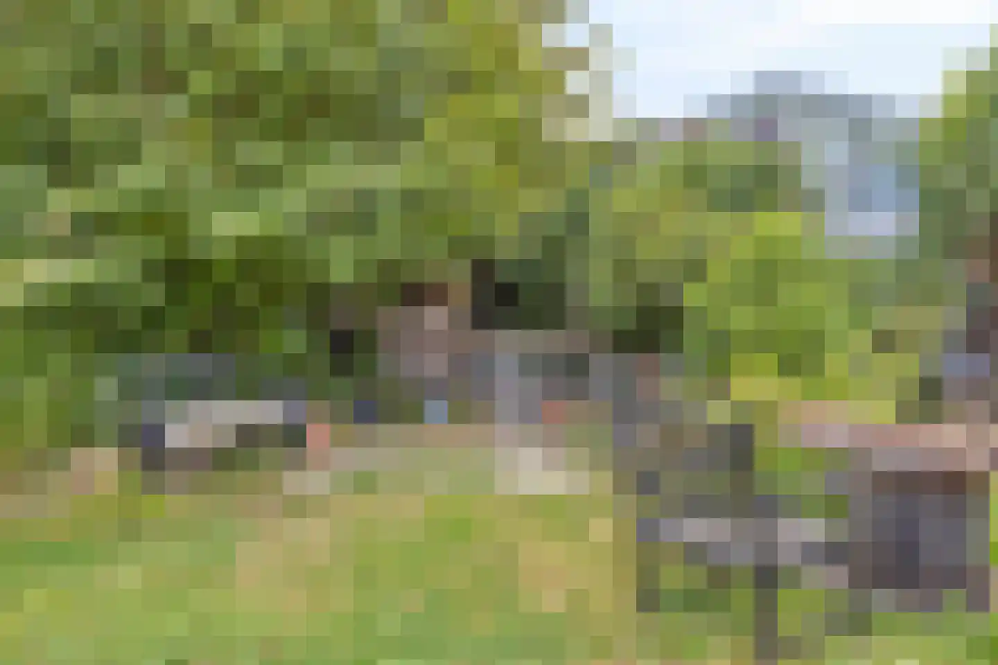 Dorpstraat 35 Oirsbeek thumbnail 52