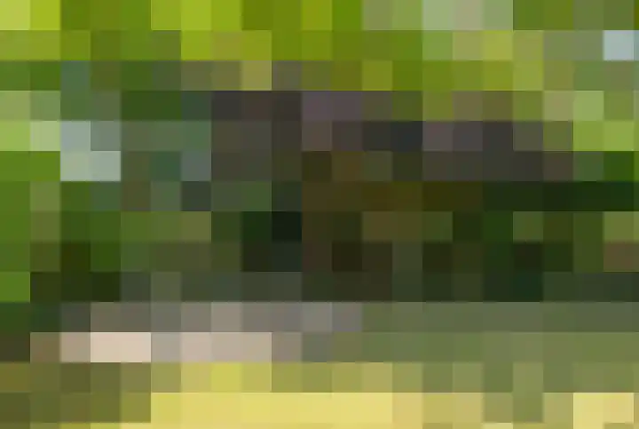 Dorpstraat 37 Heumen thumbnail 34