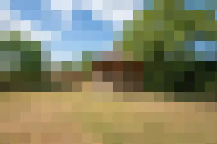 Dorpstraat 37 Heumen thumbnail 35