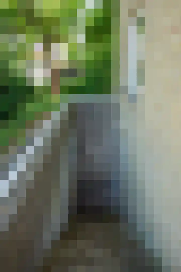 Dorpstraat 37 Heumen thumbnail 37