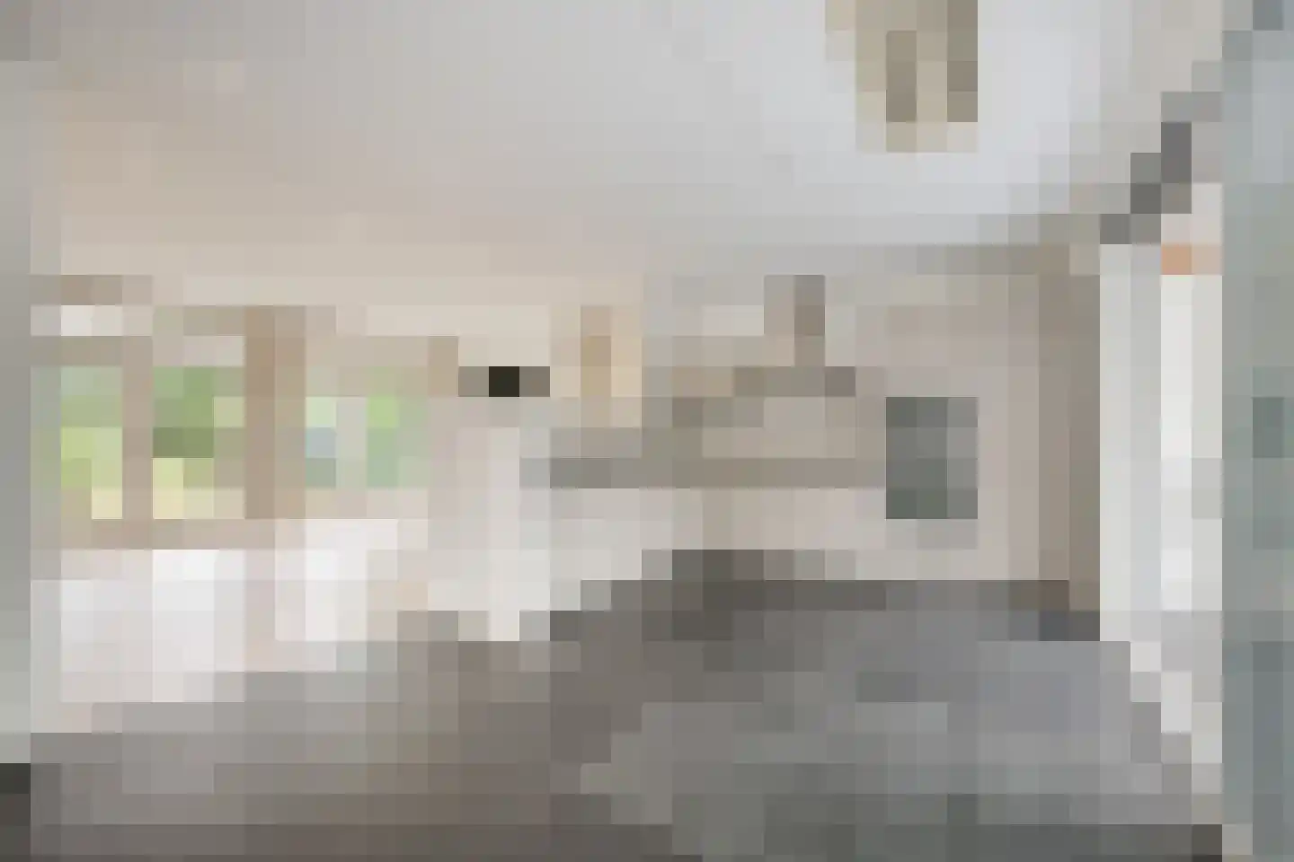 Dorpstraat 37 Nieuw-Vennep thumbnail 4