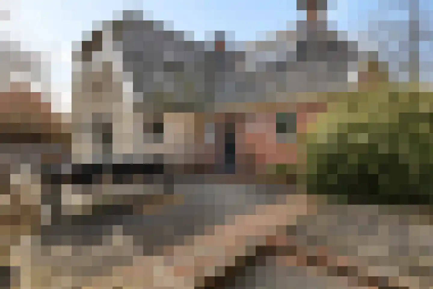 Dorpstraat 38 Oosterwijtwerd thumbnail 12