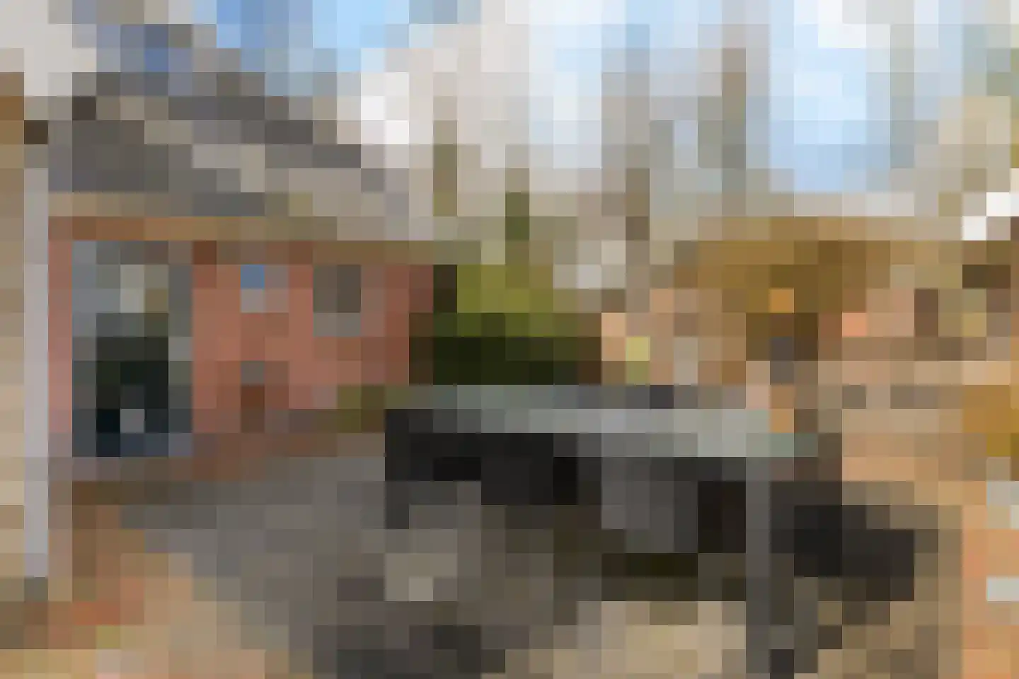 Dorpstraat 38 Oosterwijtwerd thumbnail 14