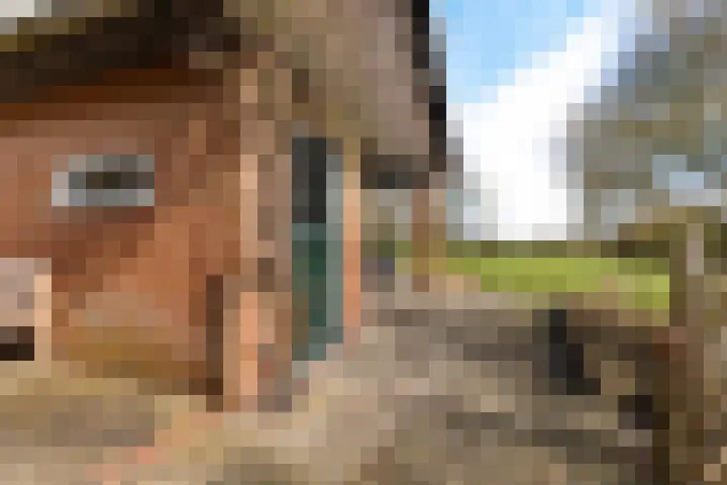 Dorpstraat 38 Oosterwijtwerd thumbnail 15