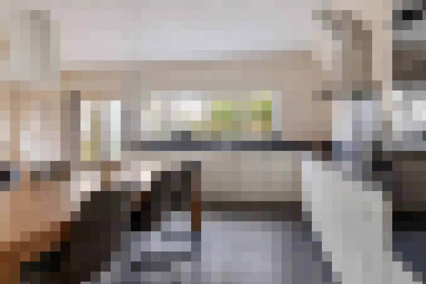 Dorpstraat 38 Oosterwijtwerd thumbnail 34