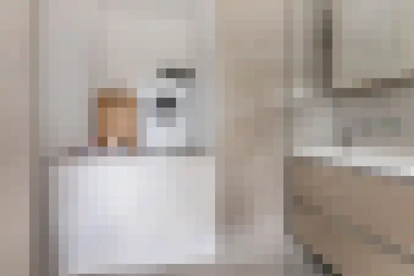 Dorpstraat 38 Oosterwijtwerd thumbnail 37