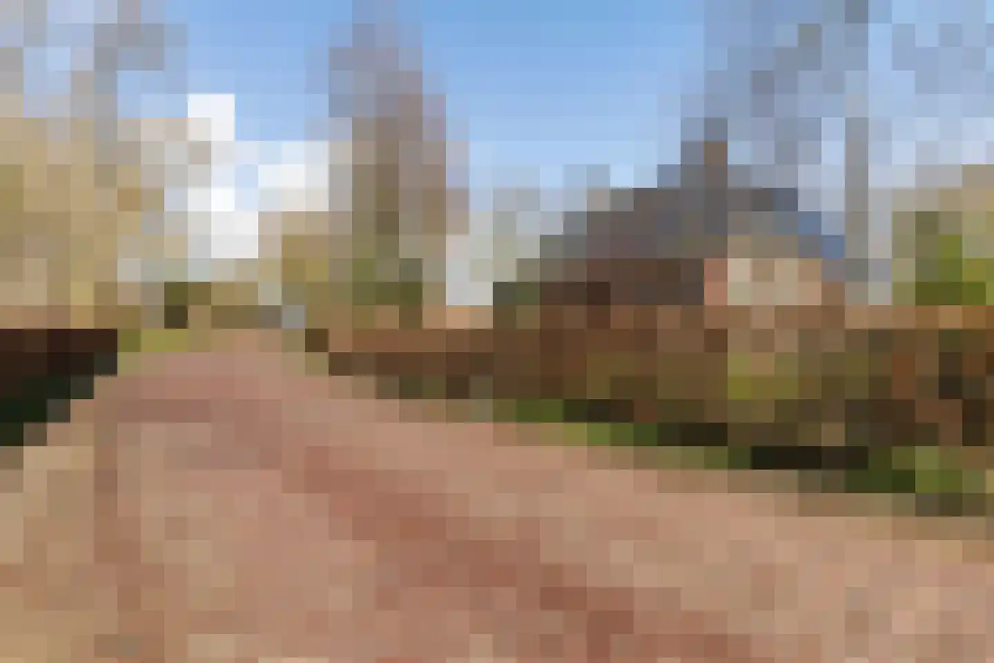 Dorpstraat 38 Oosterwijtwerd thumbnail 7