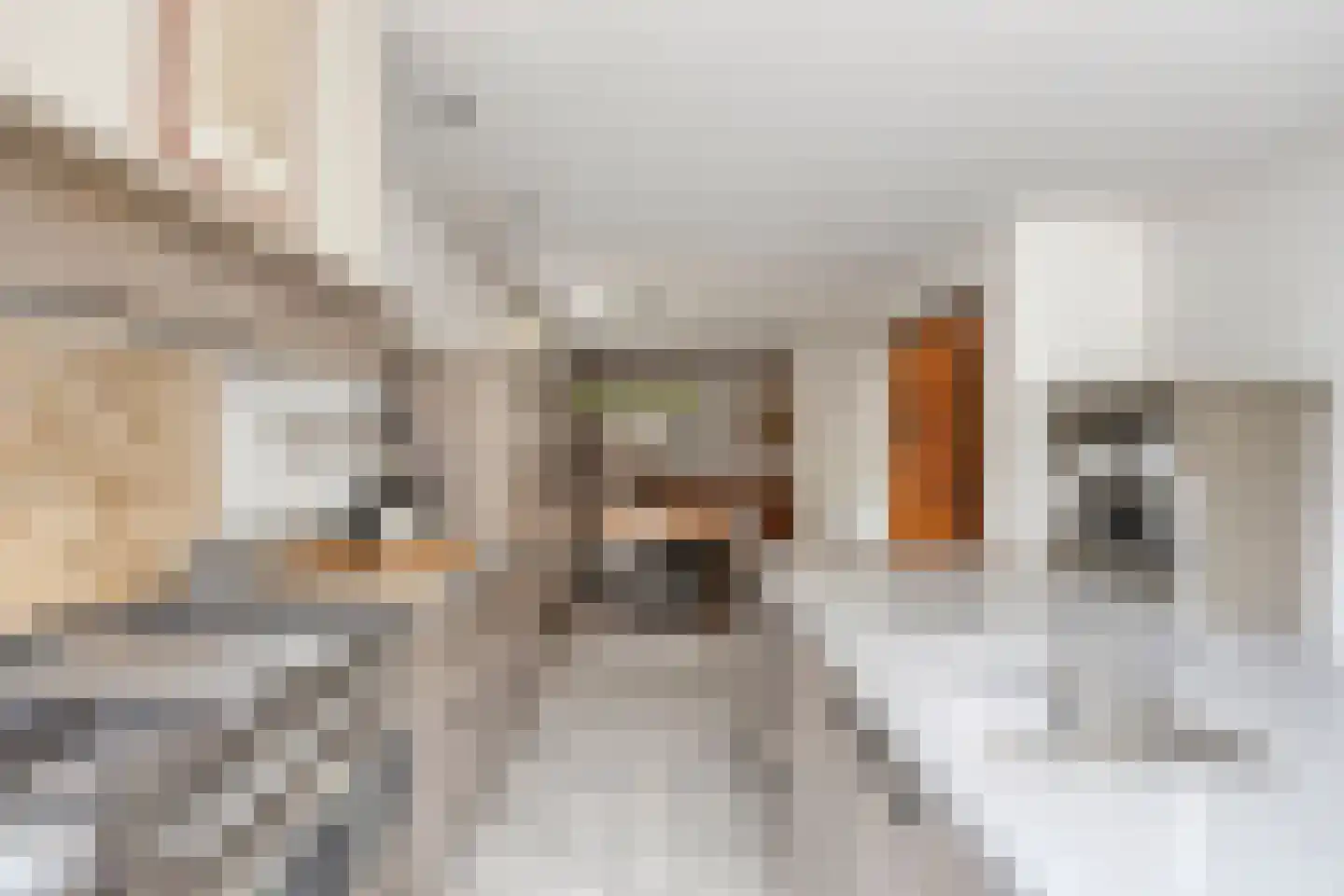 Dorpstraat 39 Maastricht thumbnail 14