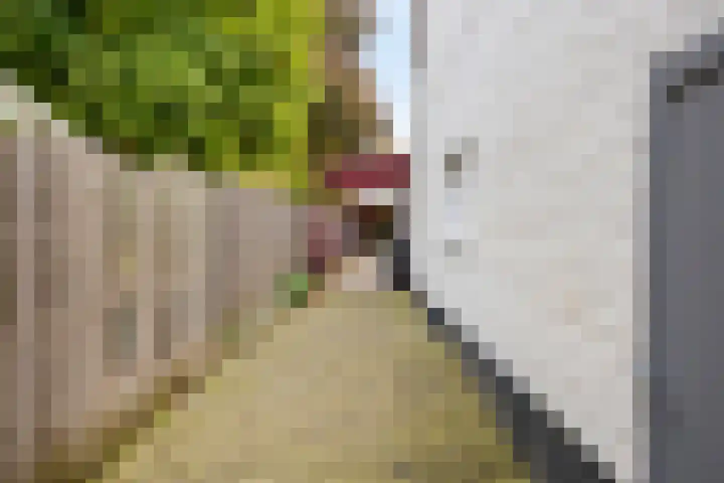 Dorpstraat 39 Maastricht thumbnail 56