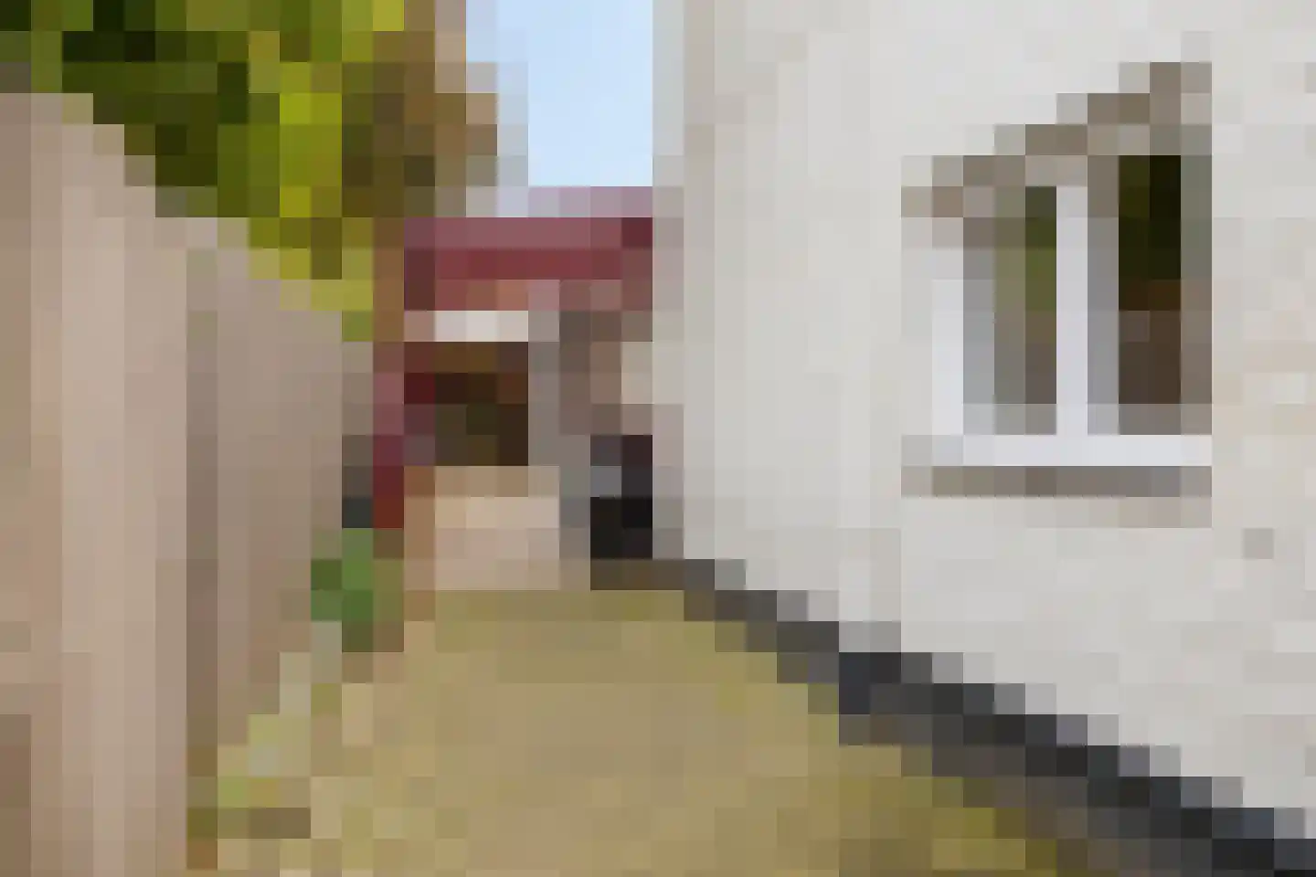 Dorpstraat 39 Maastricht thumbnail 57