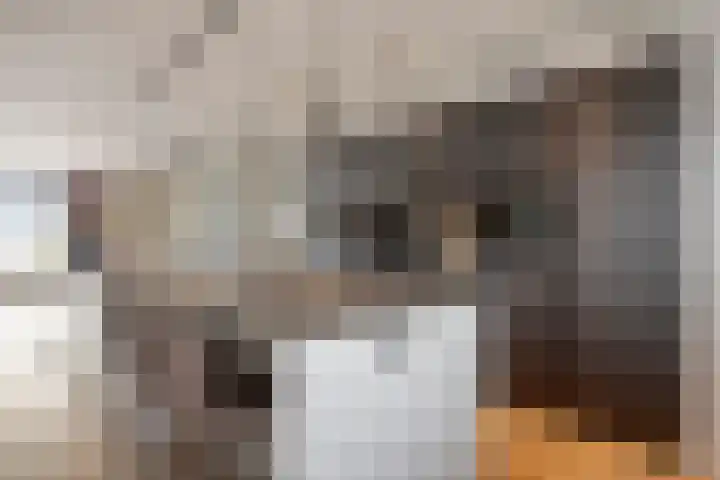 Dorpstraat 4 Elsloo thumbnail 19