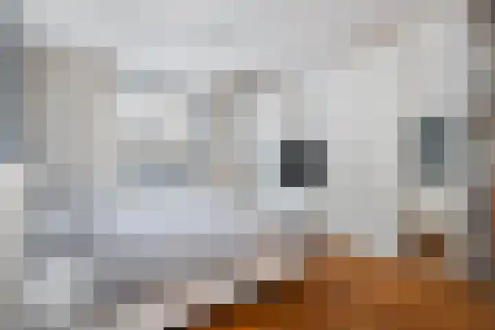 Dorpstraat 4 Elsloo thumbnail 31
