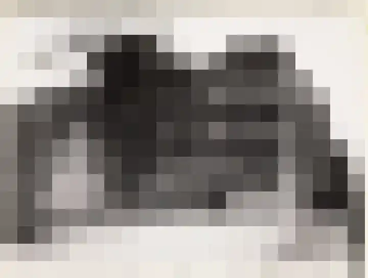 Dorpstraat 4 Elsloo thumbnail 45