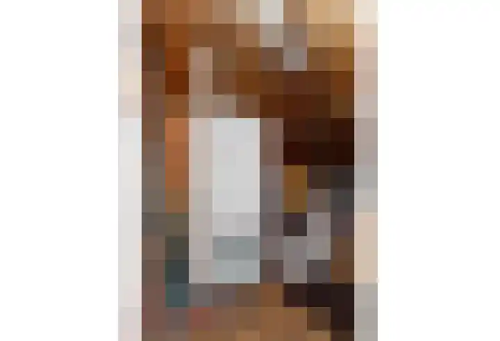 Dorpstraat 4 Elsloo thumbnail 50