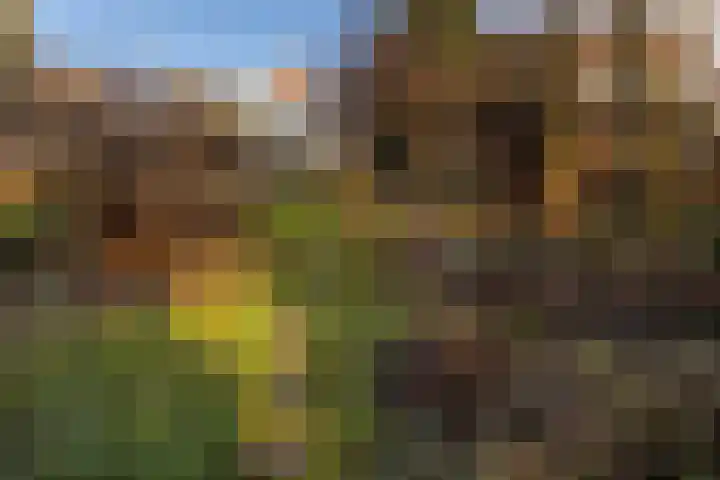 Dorpstraat 4 Elsloo thumbnail 52