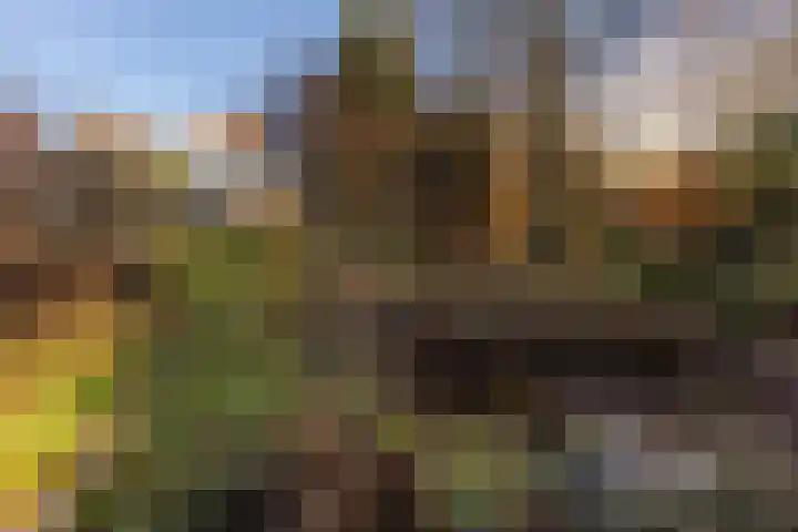 Dorpstraat 4 Elsloo thumbnail 53