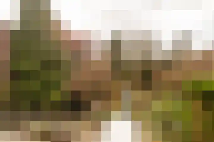 Dorpstraat 4 Elsloo thumbnail 55