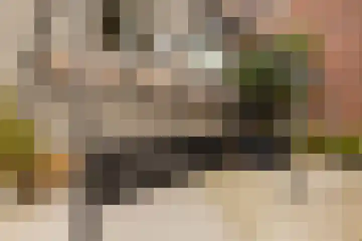 Dorpstraat 4 Elsloo thumbnail 64