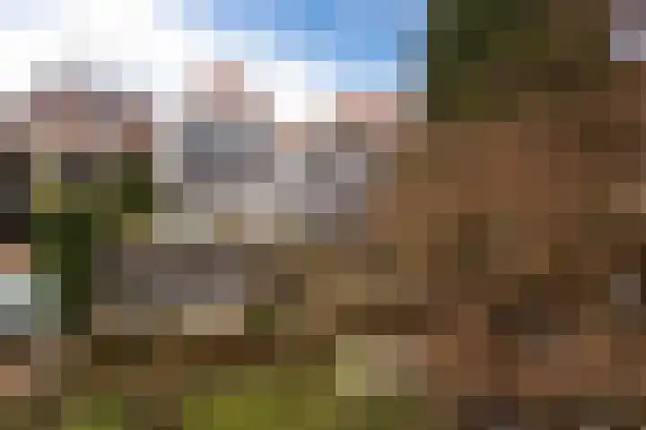 Dorpstraat 4 Elsloo thumbnail 65