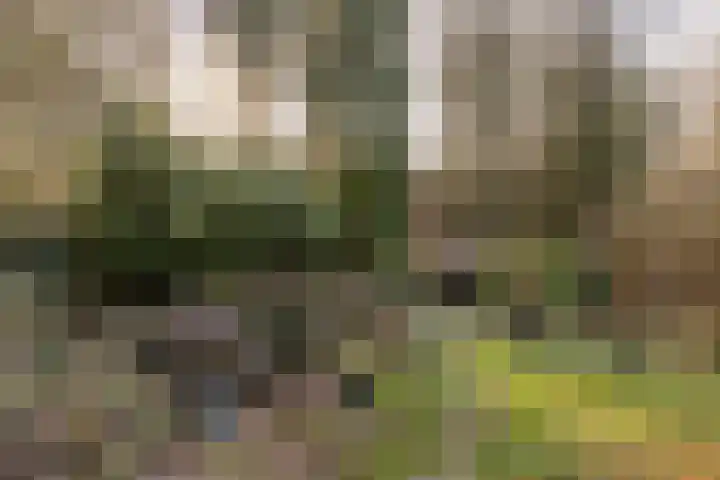 Dorpstraat 4 Elsloo thumbnail 70