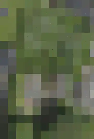 Dorpstraat 4 Macharen thumbnail 6
