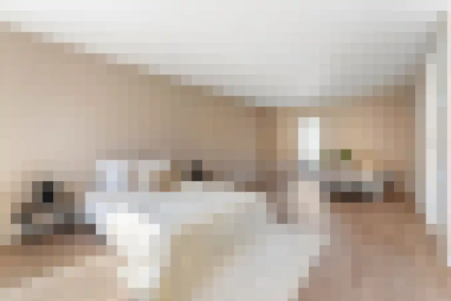 Dorpstraat 4 Spaubeek thumbnail 22