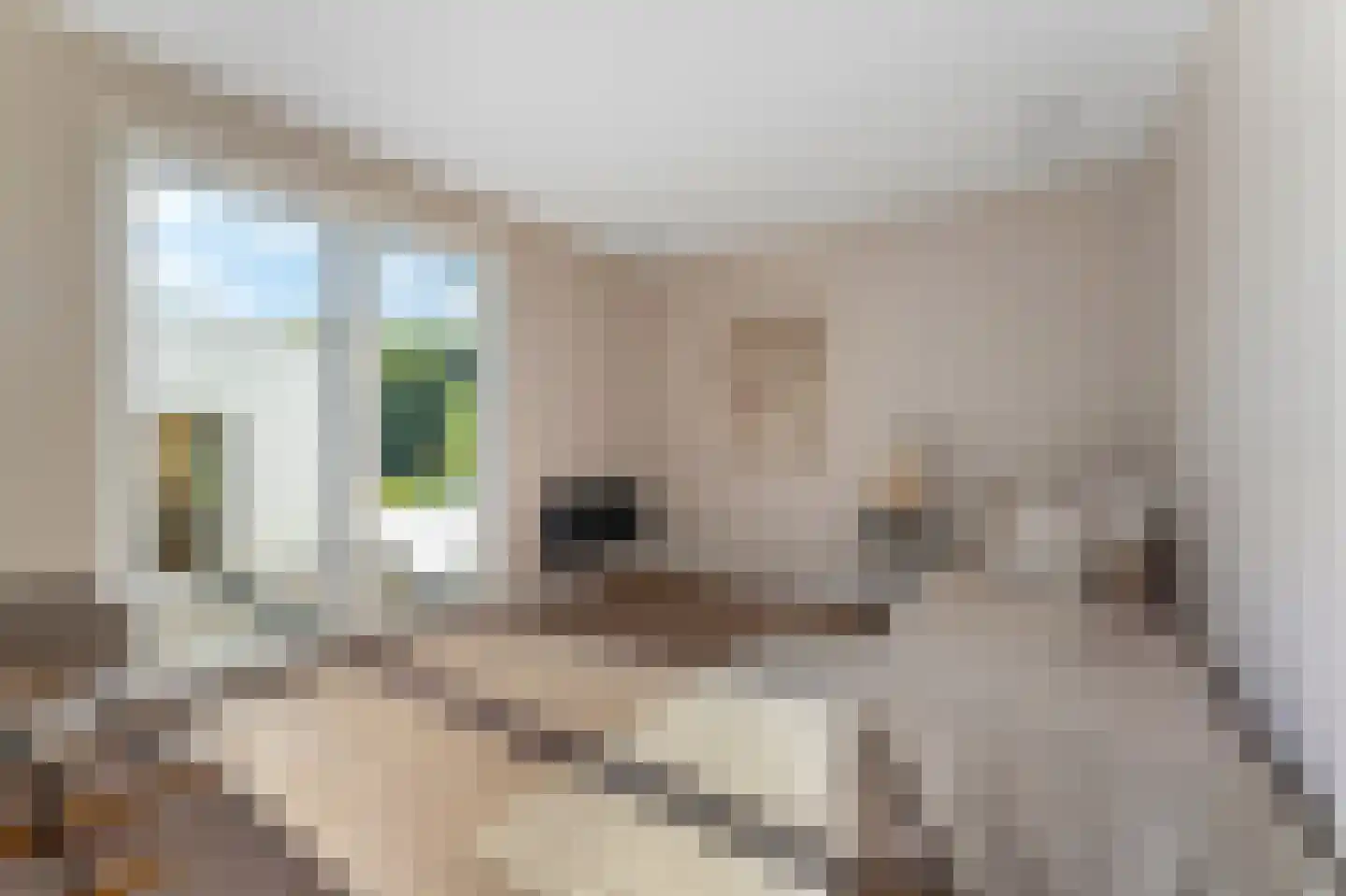 Dorpstraat 4 Spaubeek thumbnail 26