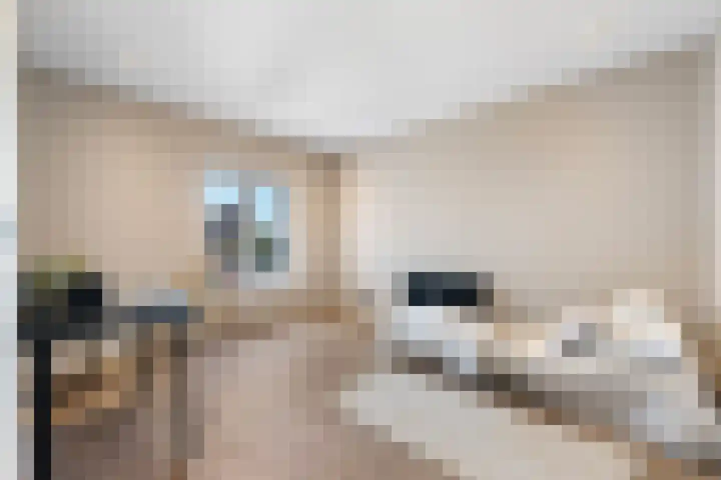 Dorpstraat 4 Spaubeek thumbnail 27