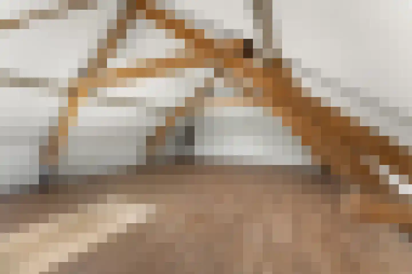Dorpstraat 4 Spaubeek thumbnail 32