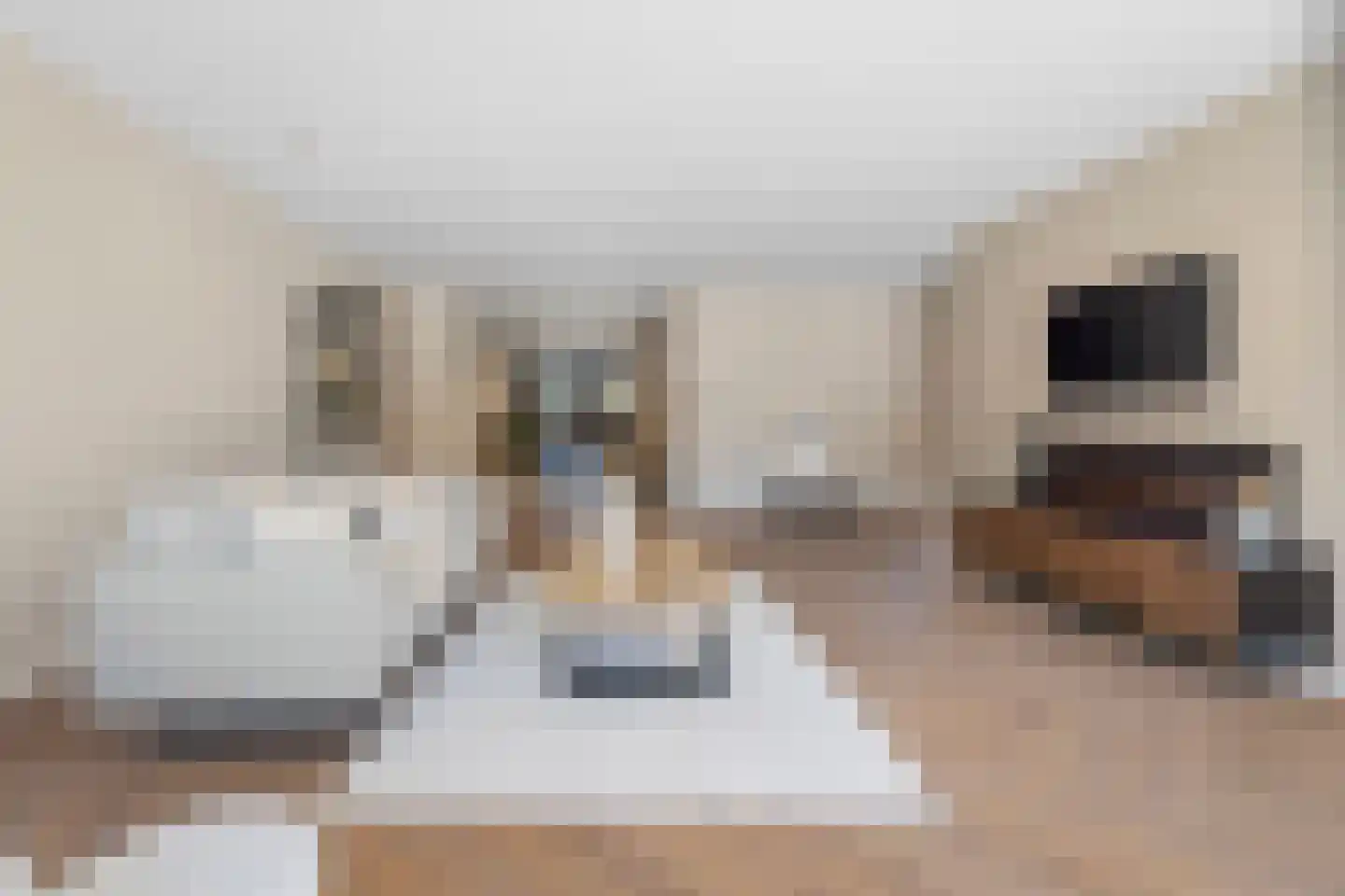 Dorpstraat 4 Spaubeek thumbnail 6