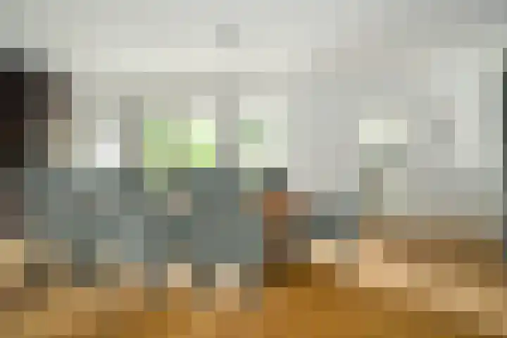 Dorpstraat 4 Ulvenhout thumbnail 16